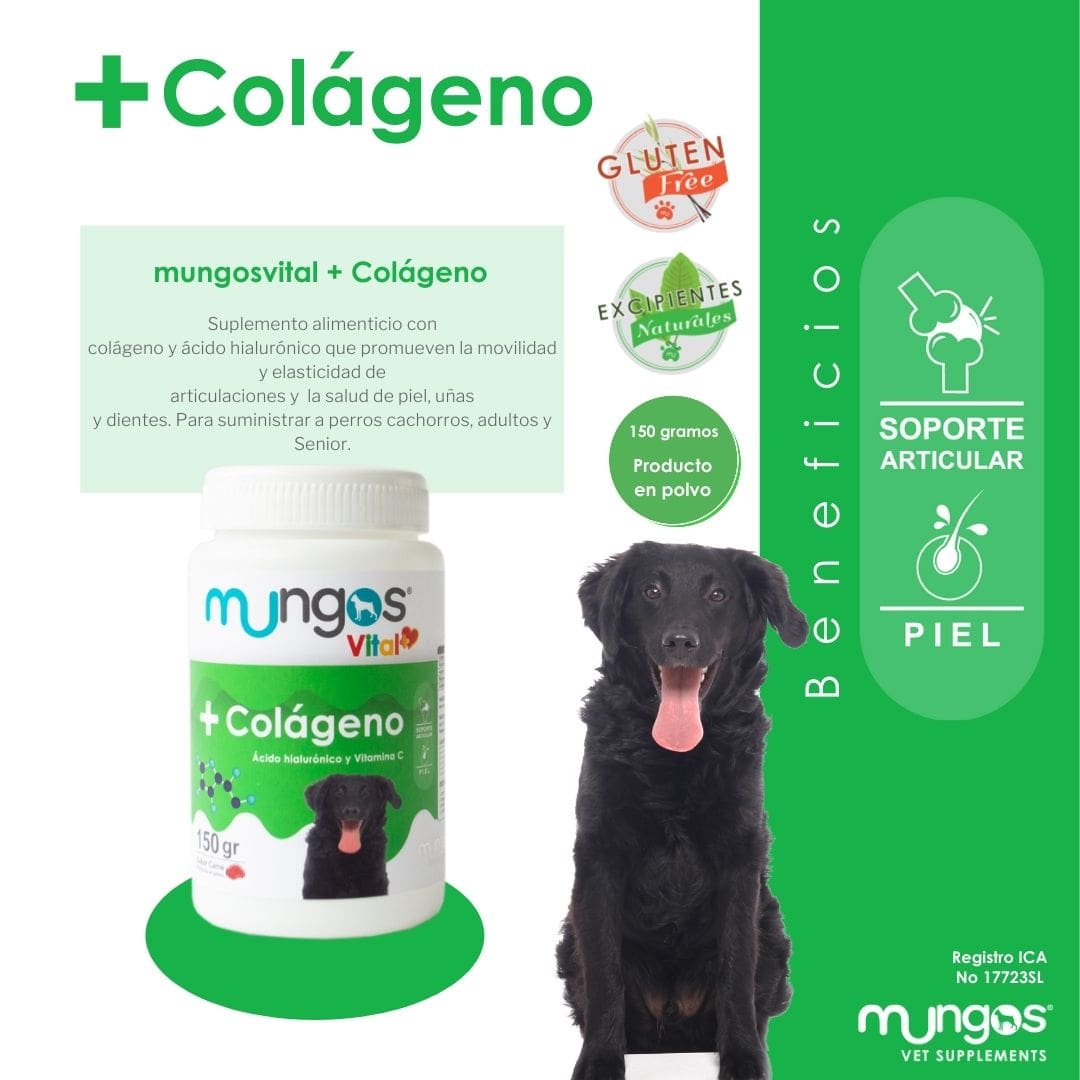 Colágeno para perros MUNGOS VITAL