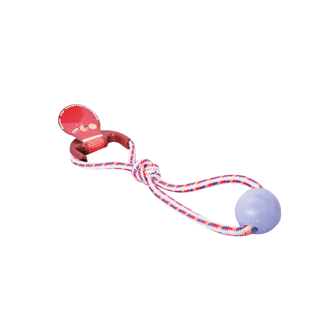 PELOTA MACIZA LAZO