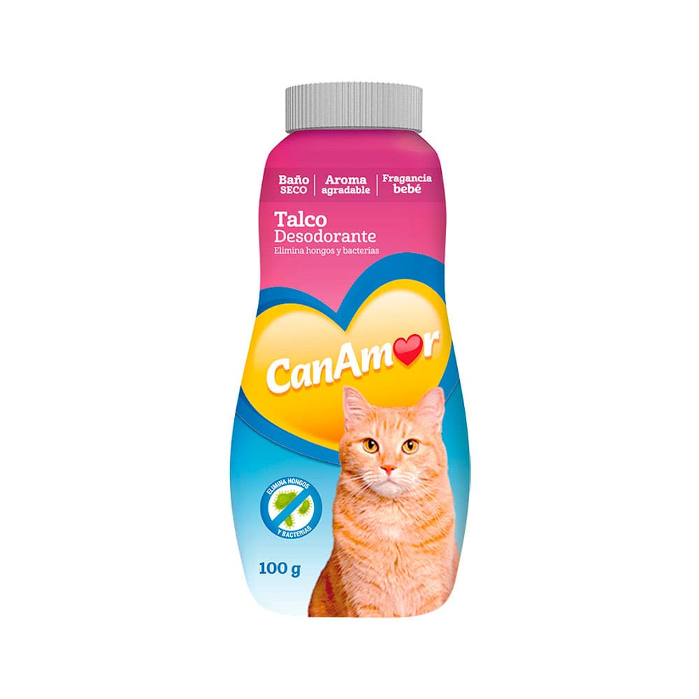 Friendly box gatos
